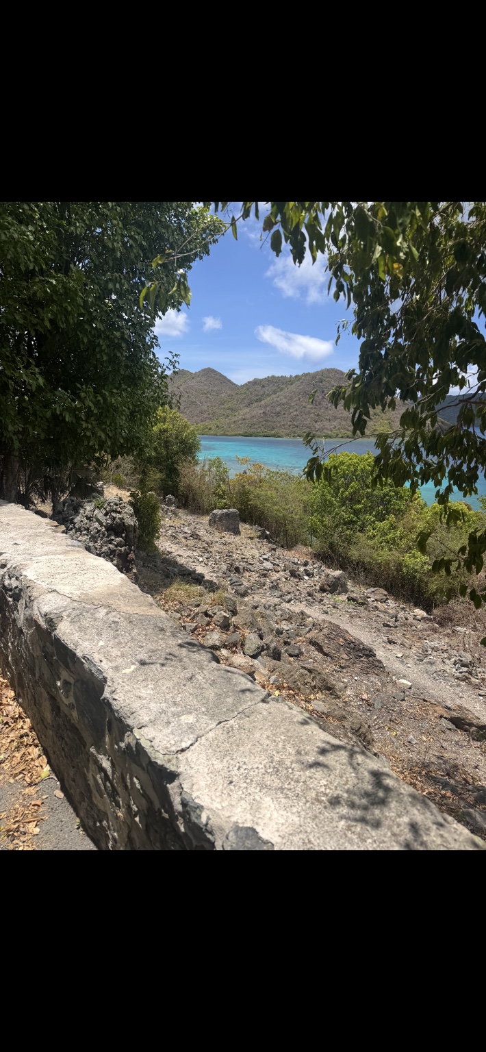 Turquoise bay and green hills viewed from a shaded island road